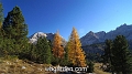 wbgarden alps 119